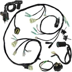 Wiring Harness Switch Key Coil Relay For Honda Sportrax TRX250EX 2X4 2001-05. Fixed Price $88.00.