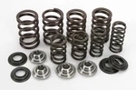 Kibblewhite Precision Valve Spring Kit 82-82060 Oem Replacement 53-1008 960218. Fixed Price $123.86.