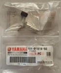 Oem Yamaha Genuine Starter Brush/bolt Big Bear, Kodiak, Warrior 1UY-81818-50. Fixed Price $8.75.