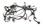 22 Kawasaki Ninja Krt Wire Harness Electrical Wiring EX650. Fixed Price $199.99.