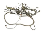 Cf-moto Zforce 600 Ex 13 Wiring Harness 9060-150100-4000 53341. Fixed Price $269.99.