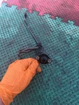03-04 Honda Foreman Rubicon 500 Oem Speed Sensor 37700-HN2-024. Fixed Price $20.00.