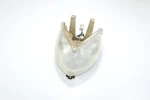 2004 04-08 Arctic Cat Dvx 400 Lens Socket Frame Housing E42. Fixed Price $103.54.