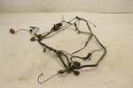 Arctic Cat Vp 4X4 400 06 Wiring Harness Chassis 0486-180 48627. Fixed Price $274.99.