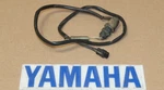 2006-2025 Yamaha Raptor 700R Rear Brake Light Switch Sensor Stop *gen. Fixed Price $29.99.