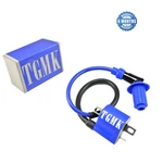 Tgmk High Performance Ignition Coil Arctic Cat Atv 250 2X4 Model 1999-2005. Fixed Price $16.80.