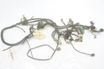 Honda Rubicon 500 Fga 07 Wiring Harness 32100-HN2-A60 52673. Fixed Price $199.99.