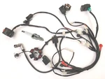 Atv Quad Coolster 3050C 110CC Wiring Harness Cdi Stator Coil Assembly WH04+. Fixed Price $89.99.
