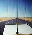 Indian Challenger Antenna And Mount Black Genuine Oem Part 4012213 4012274 L1. Fixed Price $134.99.