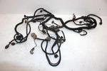 2006 Polaris Sportsman 500 Oem Main Wire Harness 2410625 AP183. Fixed Price $191.69.