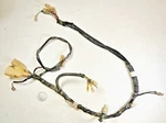 85 Honda Fourtrax Main Electrical Wire Wiring Harness. Fixed Price $74.99.