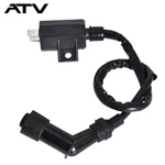 Genrics For Suzuki Atv Ozark LTF250 2X4 Black Ignition Coil 2002-2012. Fixed Price $10.63.