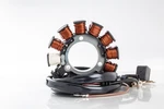 Ricks 21-552 Stator Fits Replacement Reliable Performance. Fixed Price $239.95.
