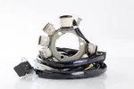 Ricks Electric Stator 21-554. Fixed Price $264.95.