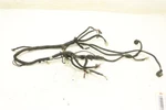 Can-am Rally 175 05 Wiring Harness A32100179000 44807. Fixed Price $43.99.