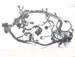 16-25 Indian Springfield Main Wiring Harness 2412300. Fixed Price $217.59.