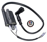 2012-2024 Kawasaki Brute Force 300 Ignition Coil Assembly 21171-Y001. Fixed Price $18.88.