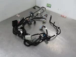 EB1360 2020 Indian Challenger Front Fairing Harness. Fixed Price $344.99.