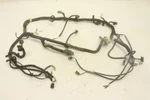 Can-am Quest 650 Wiring Harness Main Chassis 710000445 42201. Fixed Price $104.99.