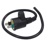 Bronco Atv Ignition Coil AT-01300. Fixed Price $24.28.