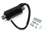 Bronco Ignition Coil AT-01315. Fixed Price $32.79.