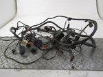 2009 Arctic Cat Prowler Xt 650 Main Engine Wiring Harness Motor Wire Loom. Fixed Price $65.00.