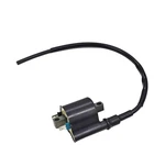 Honda Ignition Coil Pioneer SXS700 M2/M4 2014 Spark Igniter Assembly Oem. Fixed Price $66.00.