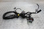 19-22 Can-am Ryker 900 Oem Injector Engine Wiring Harness Wire Loom 420864542. Fixed Price $39.95.
