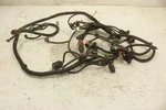 Polaris Ranger 4X4 500 Efi 2008 Wiring Harness Chassis 2410938. Fixed Price $339.99.