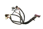 Polaris Ranger 700 Efi 08 Wiring Harness Dash 2410965 52453. Fixed Price $54.98.