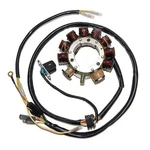 Electrosport Polaris Stator ESG241 * High-performance Motorcycle Replacement. Fixed Price $194.00.