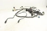 Honda Big Red 700 Muv 09 Wiring Harness 32100-HL1-A00 48745. Fixed Price $174.98.