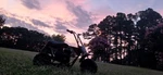 Coleman CC100X 3.0HP Red And Black Mini Bike. Fixed Price $450.00.