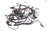 20 Can-am Ryker Rally 900 Ace Wire Harness Electrical Wiring. Fixed Price $190.80.
