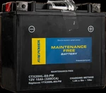 Wps Maintenence Free Sealed Battery CTX19L-BS. Fixed Price $160.95.