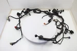 Honda CBR300R 2016 / 18-22 Oem Main Engine Wiring Harness Motor Wire Loom. Fixed Price $69.24.