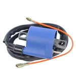 Rmstator External Ignition Coil RM06007. Fixed Price $22.19.