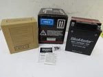 Bikemaster High Perf. Maintenance Free Battery #BTX14AH-BS For Atv. Fixed Price $56.05.