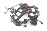 2024 Kawasaki KLX300 Oem Wire Harness 26031-4043. Fixed Price $275.00.