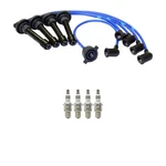 Ngk Ignition Kit For Honda. Fixed Price $95.95.