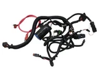 04 Polaris Genesis 1200 Engine Wire Harness Electrical Wiring. Fixed Price $99.99.