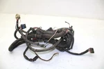 03 Polaris Magnum 330 4X4 Oem Main Harness 2461049 AP101. Fixed Price $141.99.