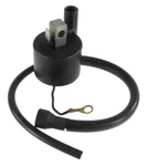 Quad Boss Ignition Coils IYA0001. Fixed Price $37.99.