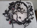 2024 Kawasaki Ninja ZX6R ZX636 Oem Main Engine Wiring Harness. Fixed Price $79.99.