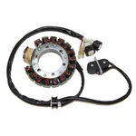 Electrosport Industries Stator ESG431. Fixed Price $141.75.