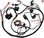 Full Electrics Stator Wiring Harness Cdi Coil Solenoid For GY6 125CC 150CC Atv. Fixed Price $107.40.