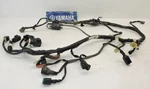 06-08 Yamaha Raptor 700R Oem Electrical Main Wire Wiring Harness Loom. Fixed Price $379.99.