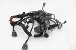 2020 Indian Challenger Chassis Wiring Harness. Fixed Price $249.25.