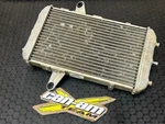 08-15 Can-am DS450 Radiator Assembly Oem 709200152 Cooling System Fastship. Fixed Price $39.99.
