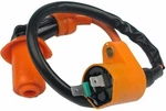 New GY6 50CC-250CC Fit Taotao Buyang Roketa Bmx Kazuma Sunl Racing Ignition Coil. Fixed Price $15.48.